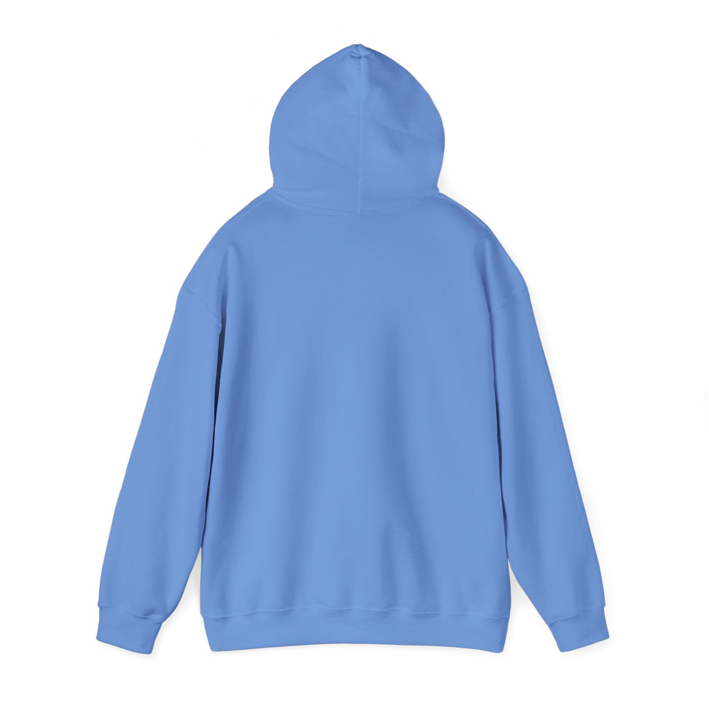 Classic Pullover Hoodie - Hernando Beach Diving