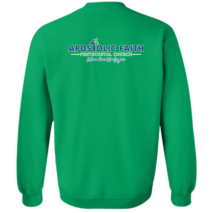 AFPC Sweatshirts