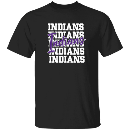 Pacific Indians - New Design 1