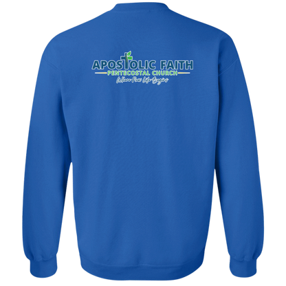 AFPC Sweatshirts